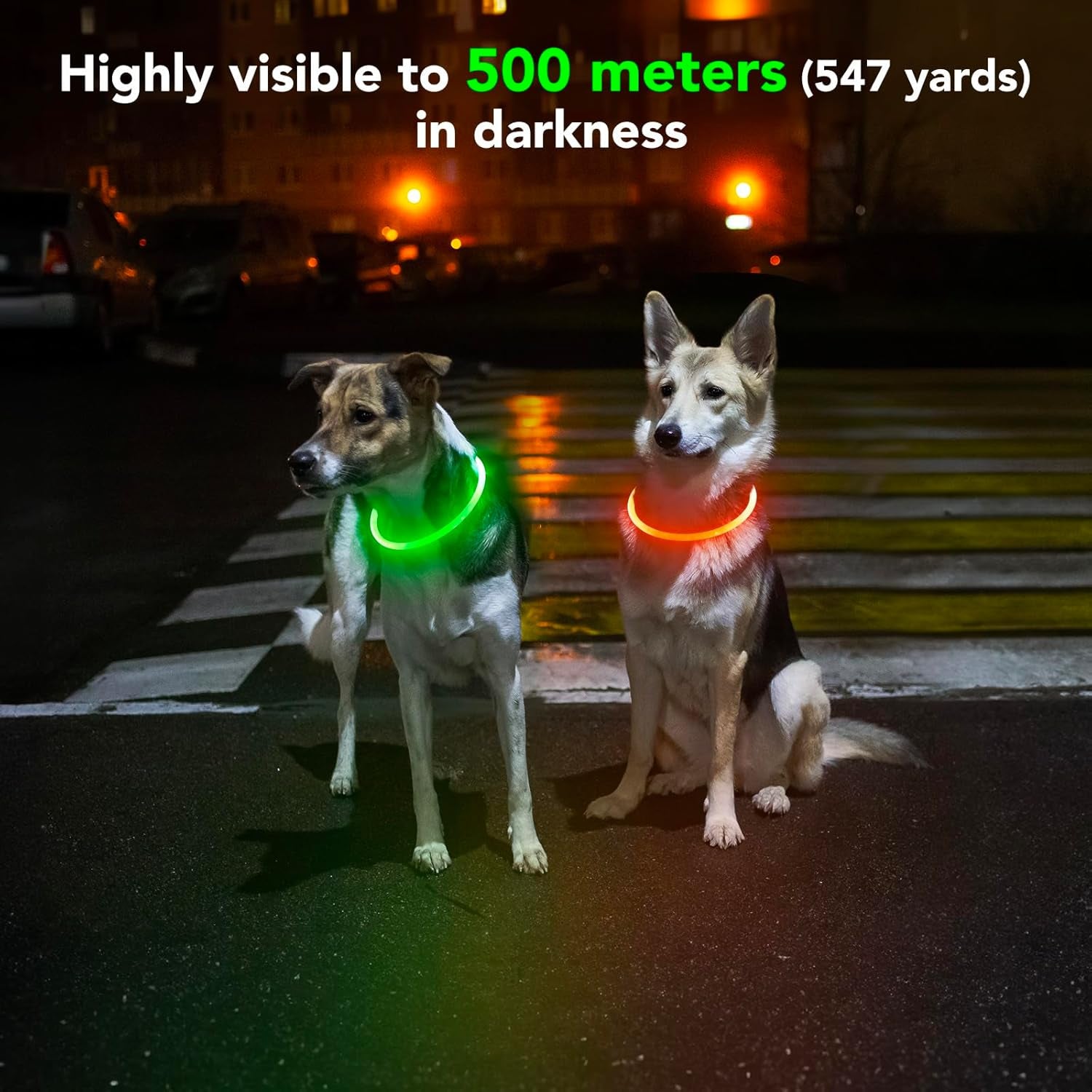 Lighted Dog Collar - Waterproof LED Pet Collar Rechargeable, TPU Cuttable Light up Doggie Collar Dog Lights for Night Walking (Green)