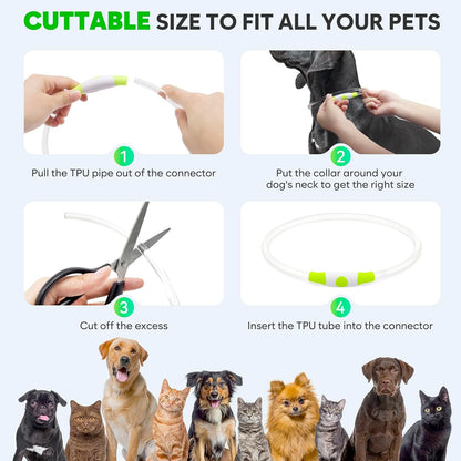 Lighted Dog Collar - Waterproof LED Pet Collar Rechargeable, TPU Cuttable Light up Doggie Collar Dog Lights for Night Walking (Green)