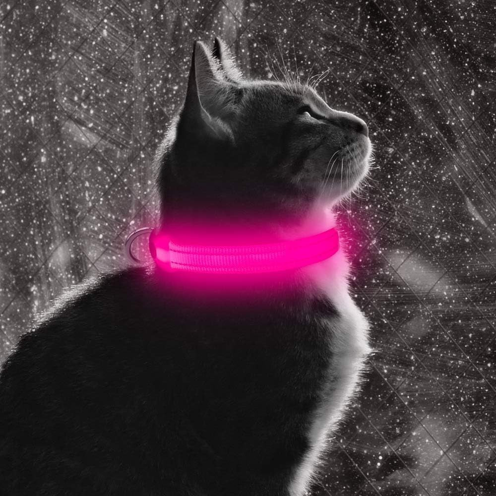 Rechargeable LED Dog Collar - Glow in the Dark Reflective Safety Collar for Night Walking (Pink, XS)