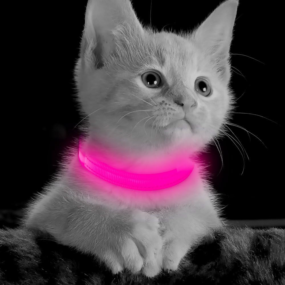 Rechargeable LED Dog Collar - Glow in the Dark Reflective Safety Collar for Night Walking (Pink, XS)