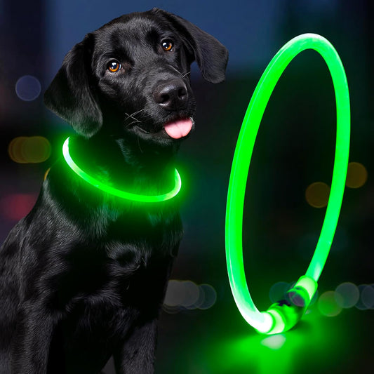 Lighted Dog Collar - Waterproof LED Pet Collar Rechargeable, TPU Cuttable Light up Doggie Collar Dog Lights for Night Walking (Green)
