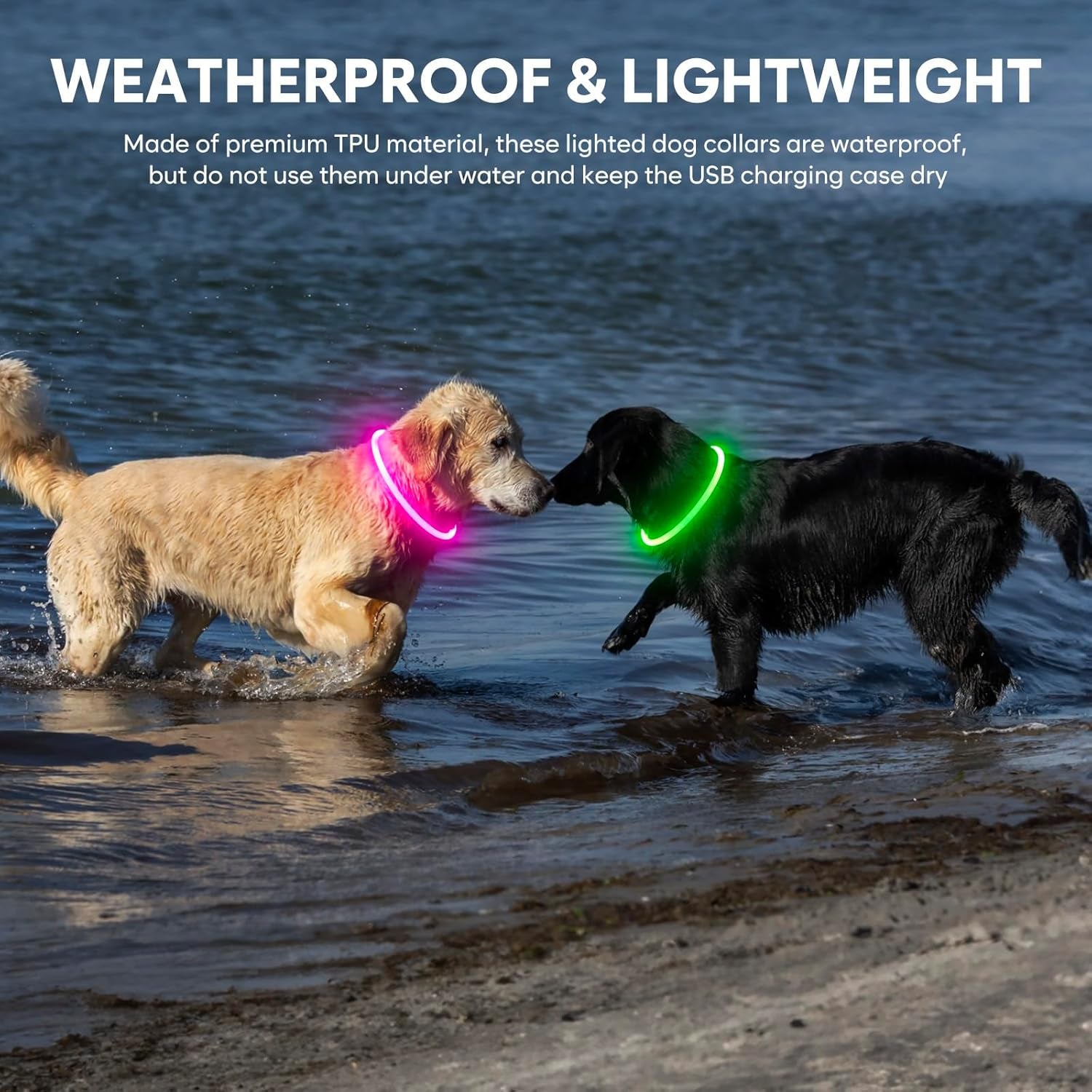 Lighted Dog Collar - Waterproof LED Pet Collar Rechargeable, TPU Cuttable Light up Doggie Collar Dog Lights for Night Walking (Green)