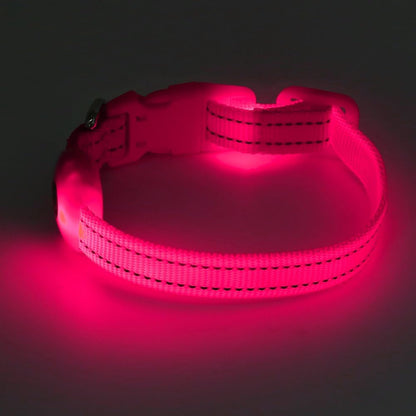 Rechargeable LED Dog Collar - Glow in the Dark Reflective Safety Collar for Night Walking (Pink, XS)